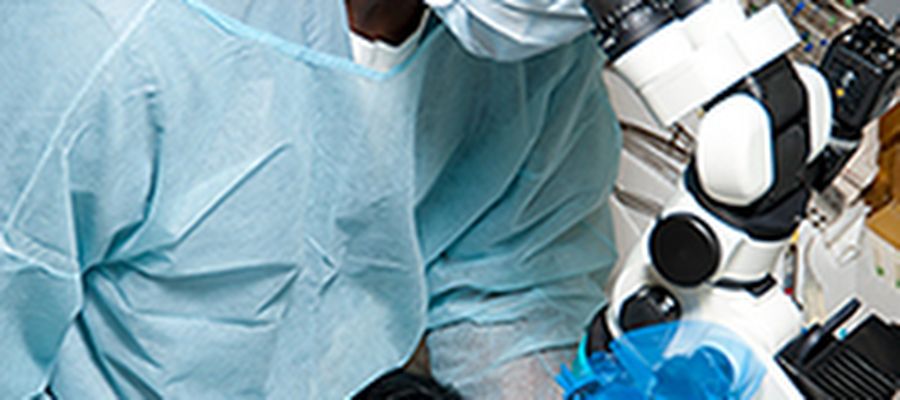 1488 Dental