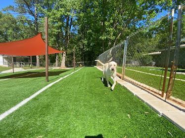 Abbie Creek Animal Hospital