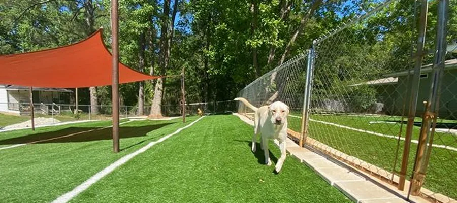Abbie Creek Animal Hospital