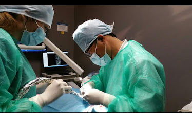 Ace Dental Group