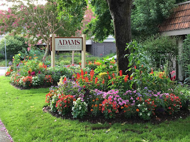 Adams Chiropractic Neurology Group