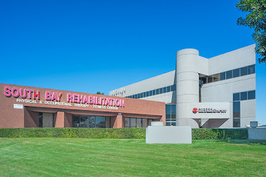 Adelfia Insurance