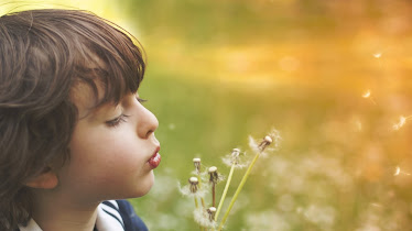 Adult & Pediatric Ear, Nose & Throat