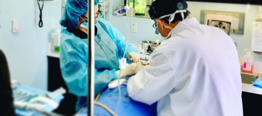 Advanced Dental Implants