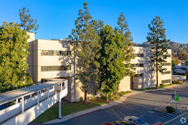 Aldene Zeno, MD, FACOG, URPS