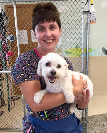 All Creatures Veterinary Clinic & Lodge