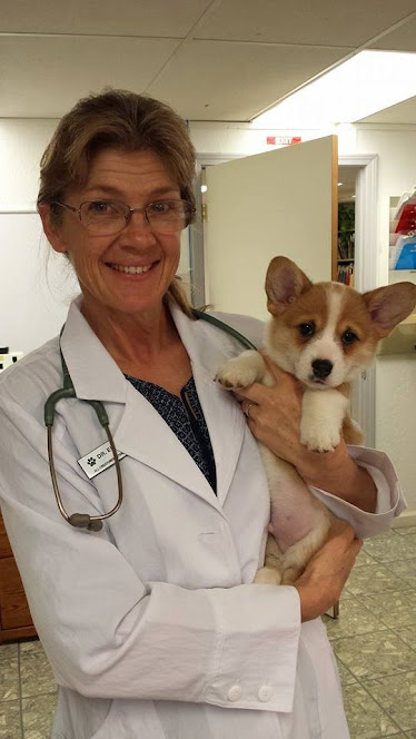 All Creatures Veterinary Hospital, Inc.