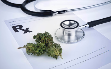 All Natural MD North Sarasota - Medical Marijuana Doctors, Card Approvals