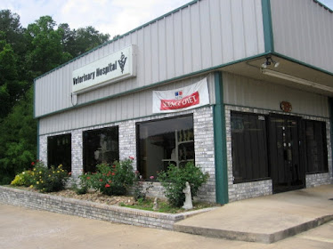 All Pet Center Animal Hospital & Emergency Clinic