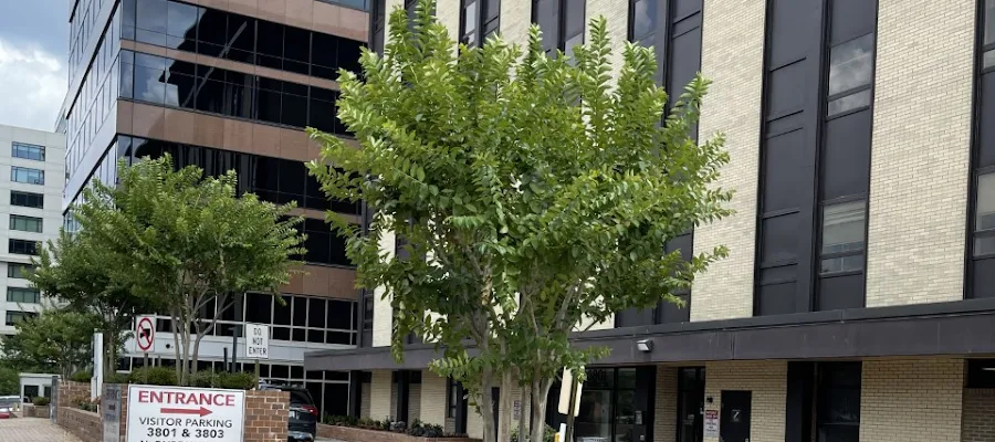 AllerVie Health - Arlington