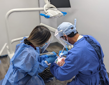 Alondra Dental Associates