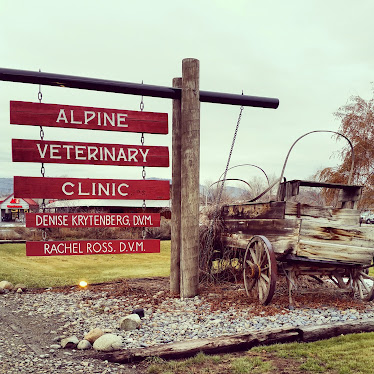 Alpine Veterinary Clinic