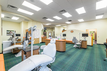 American Family Orthodontics