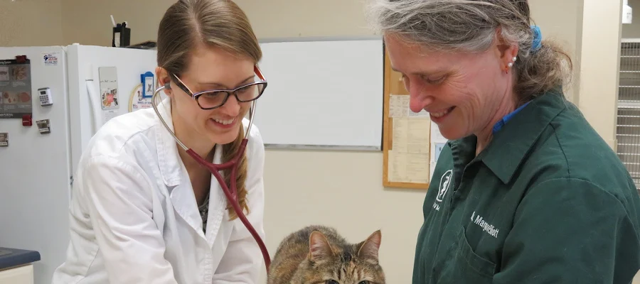 Ames Pet Hospital