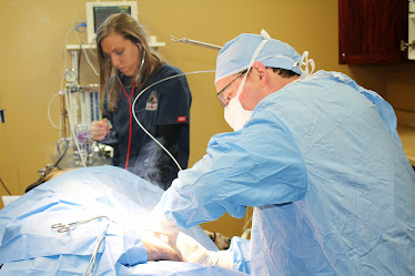 Ancare Veterinary Hospital