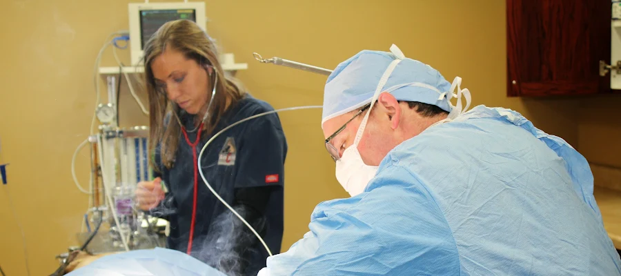 Ancare Veterinary Hospital