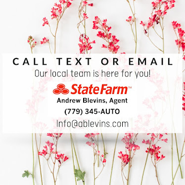 Andrew Blevins - State Farm Insurance Agent
