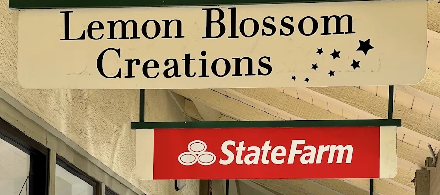 Andrew Kolasa - State Farm Insurance Agent