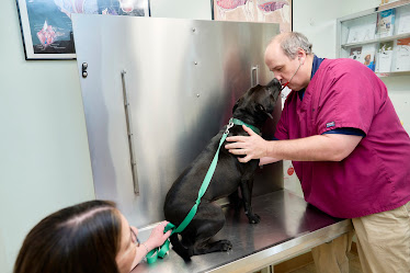 Animal Care Center
