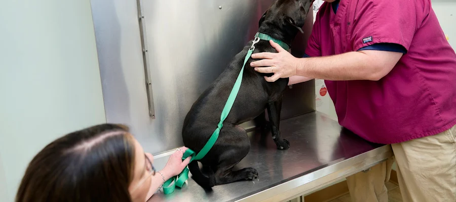 Animal Care Center