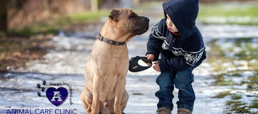 Animal Care Clinic