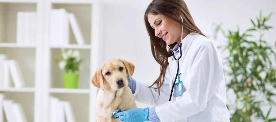 Animal Clinic & Hospital