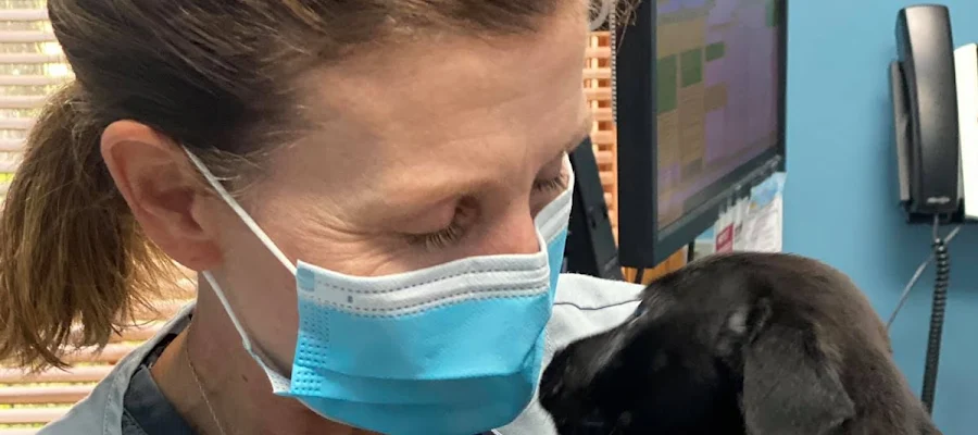 Animal Doctor