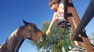 Animal Health Center