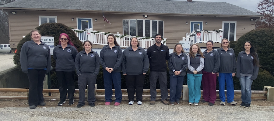 Animal Hospital of Putnam