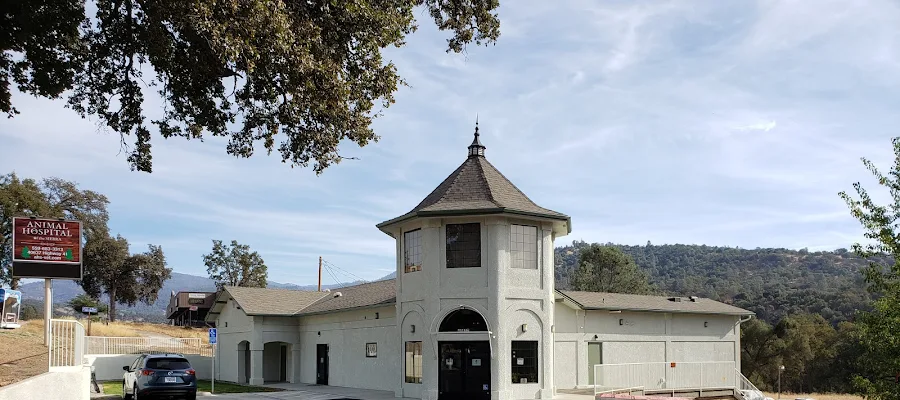 Animal Hospital of the Sierra