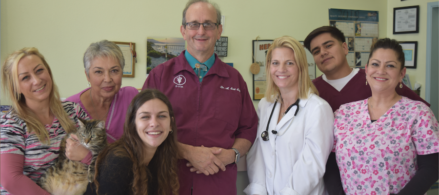 Animal Medical Clinic