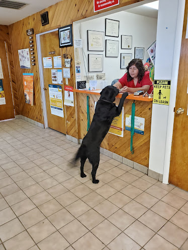 Animal Medical Clinic