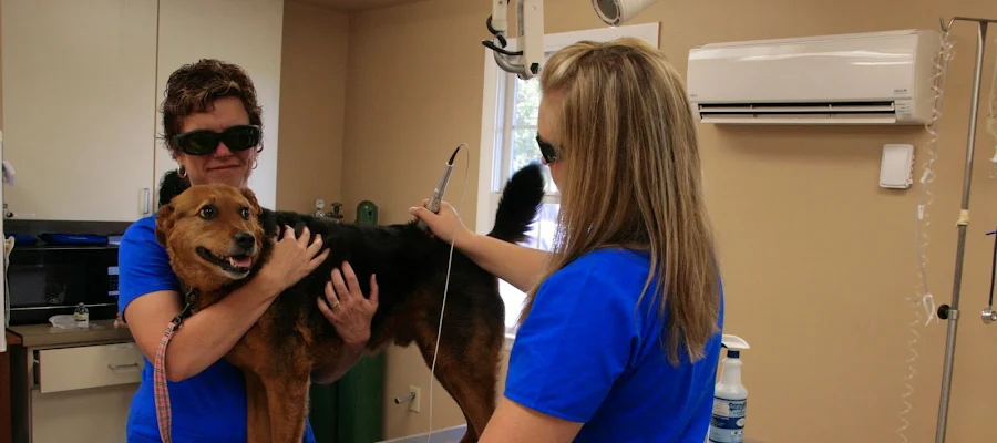 Animal Medical Services