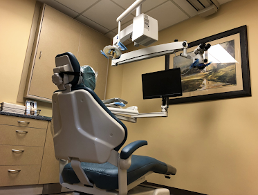 Apical Endodontics
