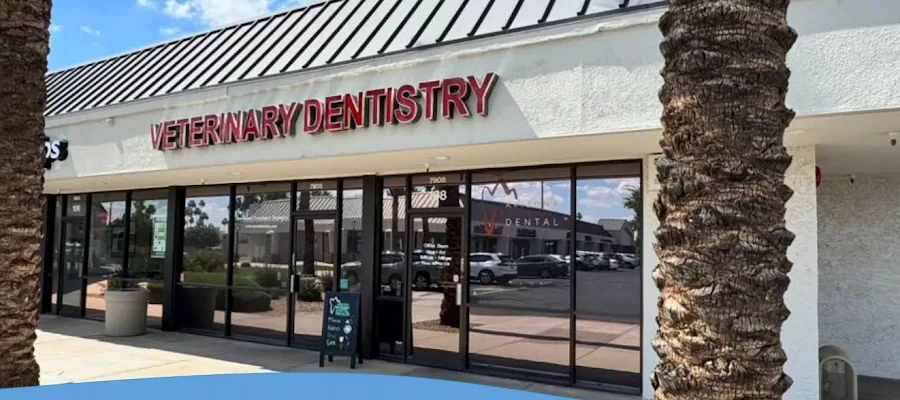 Arizona Veterinary Dental Specialists - Scottsdale