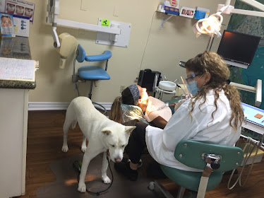 Artistic Dentistry