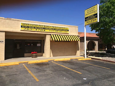 Associated Insurance Professionals, Inc.