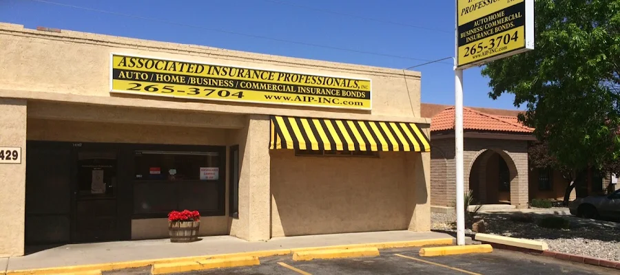Associated Insurance Professionals, Inc.