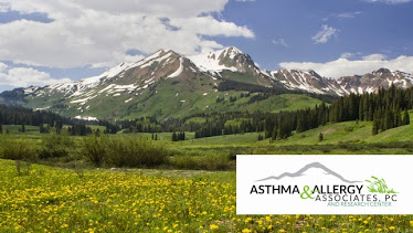 Asthma & Allergy Associates, P.C.