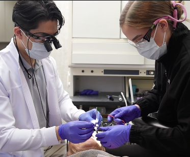 Atelier Dentistry