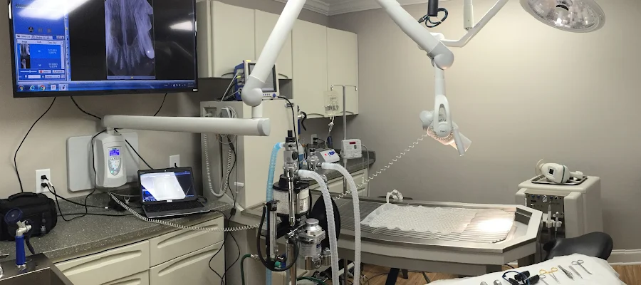 Atlanta Veterinary Dentistry