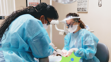 Auburn Dental: Shannon Savage-Cerna DDS