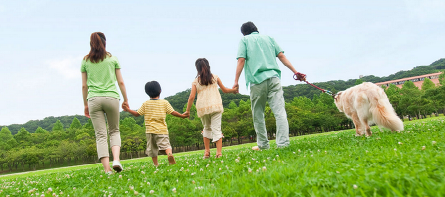 Auburn Hills Chiropractic And Rehabilitation