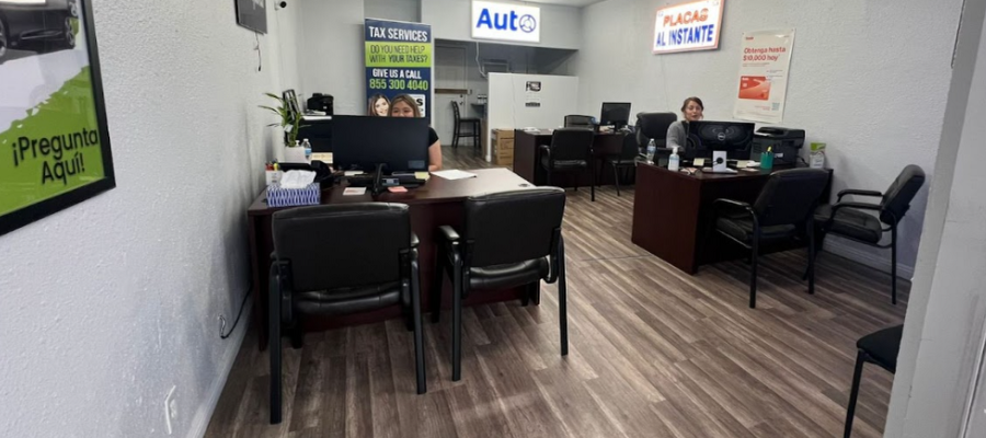 Auto International Insurance