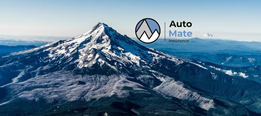 Auto Mate Insurance