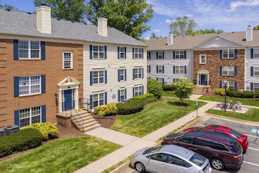 Avana Fieldstone