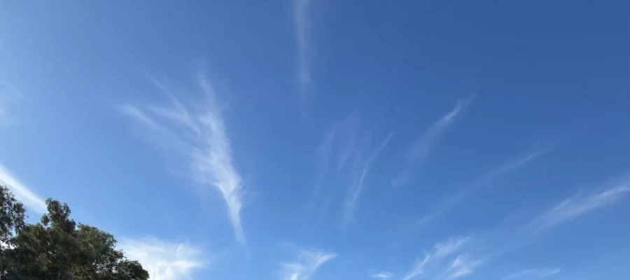 Avant Adjusting
