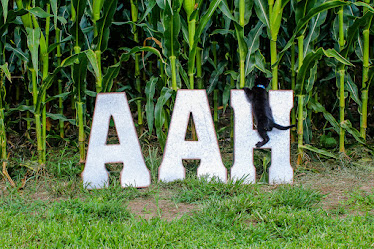 Aylett Animal Hospital