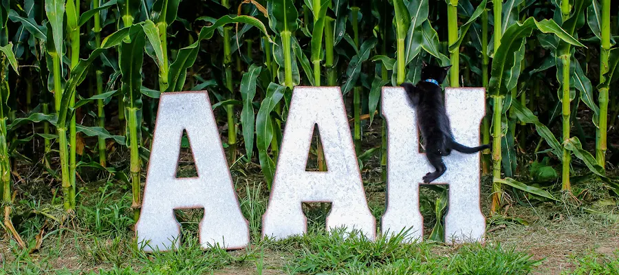 Aylett Animal Hospital
