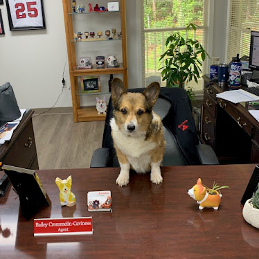 Bailey Crommelin-Caviness - State Farm Insurance Agent